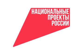 Национальные проекты России